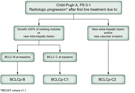 bclc boxing|BCLC strategy for prognosis prediction and.